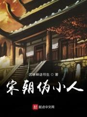 宋朝伪军