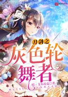 刀剑之灰色轮舞者txt
