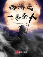 西游之一拳圣人第三中文网