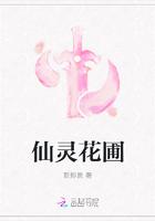 仙灵fairy