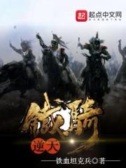 逆天铁骑txt