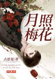 梅花月是什么意思