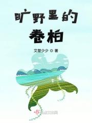 旷野柏杨作品系列