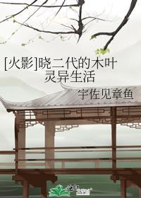 火影晓组织进攻木叶村从第几集开始