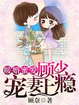 暖婚蜜爱:顾少宠妻上瘾