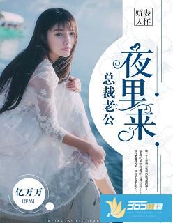 娇妻入怀:总裁老公夜里来