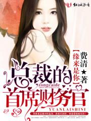 缘来是你,总裁的首席财务官