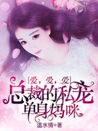 总裁的私宠:单身妈咪爱爱爱