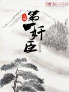 一胎两宝:帝少的千亿娇妻